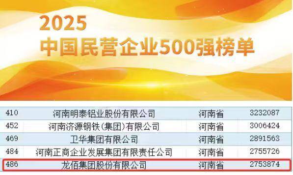 龙佰集团荣获“中国民营企业500强”等荣